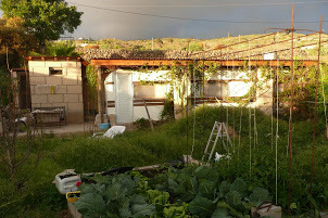 Bad, überdachter Wohnwagen mit Gemüsegarten im Vordergrund